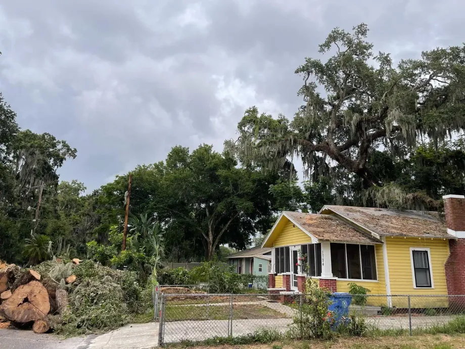 Gallery Image 3 Tree Service