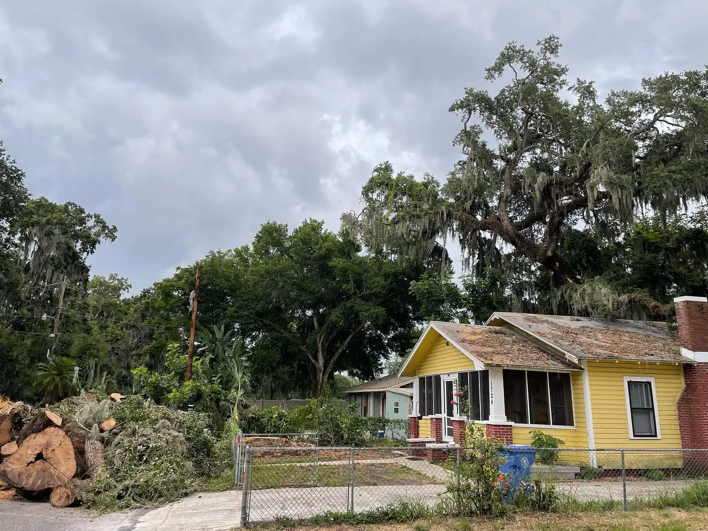 gallery Image 2 tree service