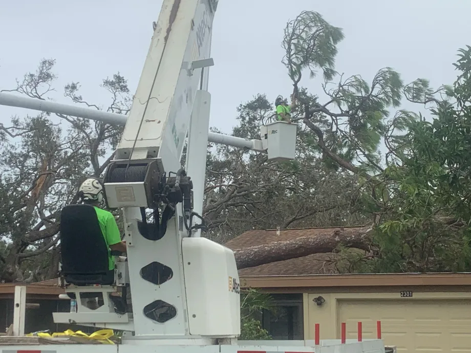 Gallery Image 5 Tree Service