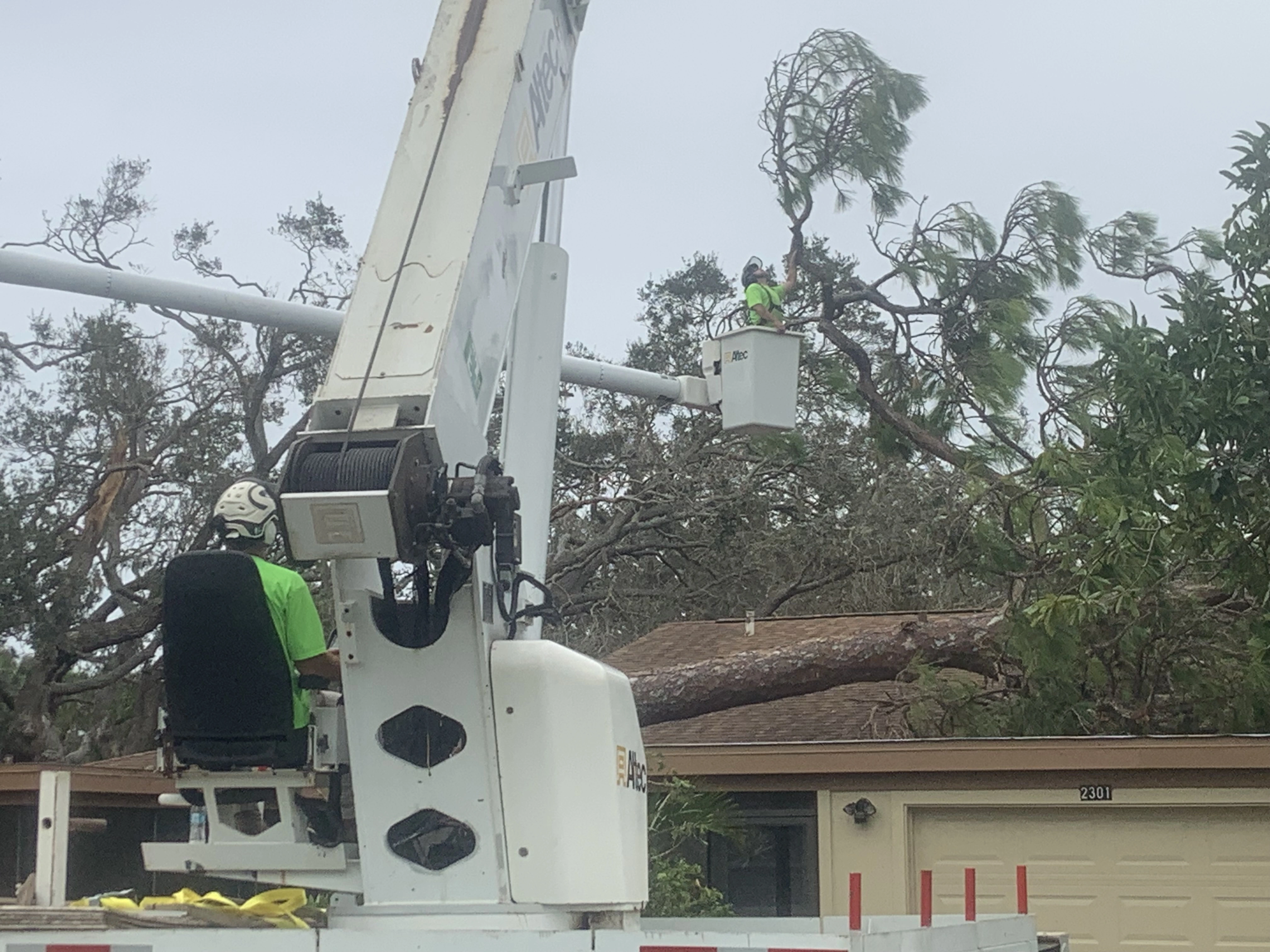 gallery Image 5 tree service