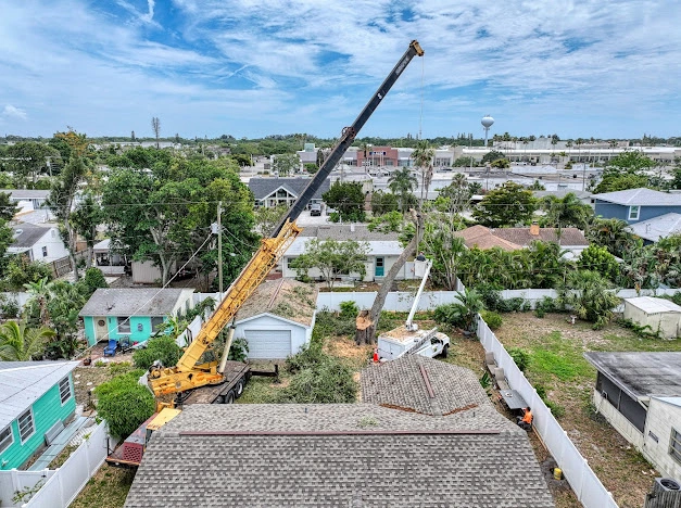 gallery Image 3 tree service