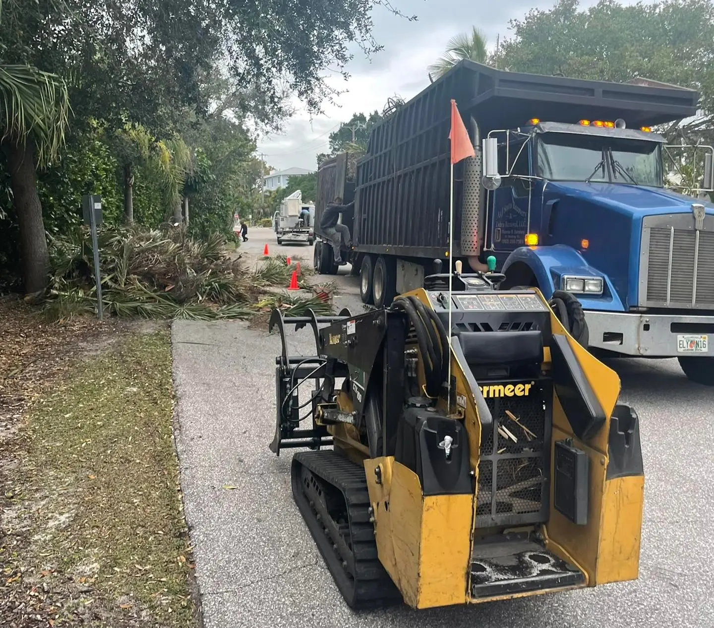 gallery Image 6 tree service