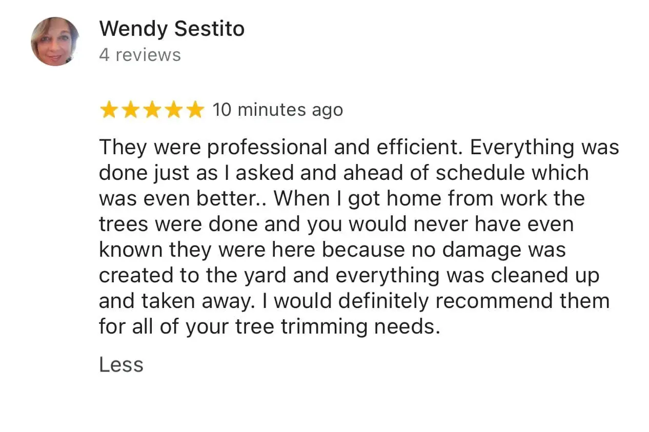 Testimonial from Wendy Sestito